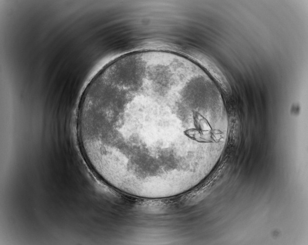 X0000103431094200810101037