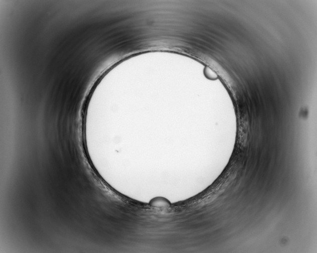 X0000103431096200810101037