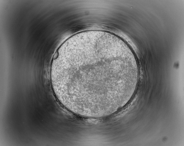 X0000103431097200810101037