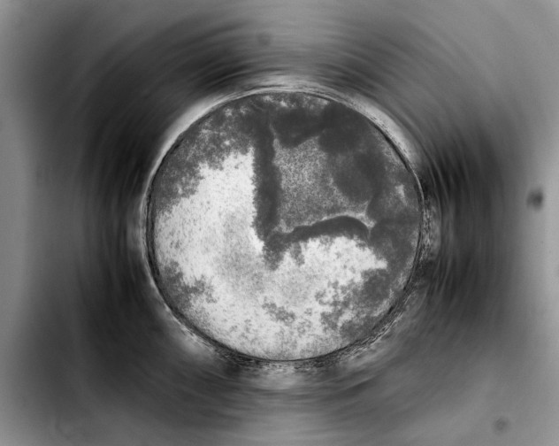 X0000103431098200810101037