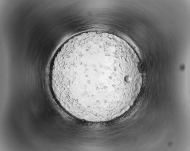 X0000103431099200810101037