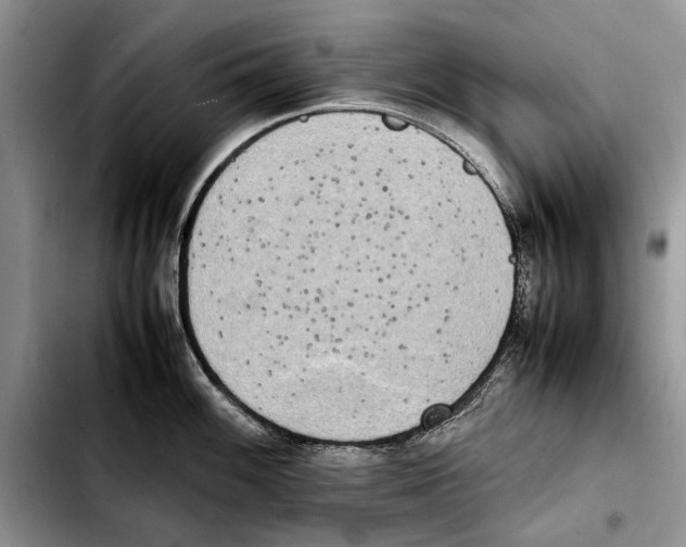 X0000103431100200810101037