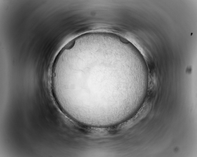 X0000103431101200810101037