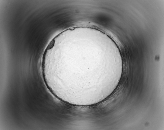 X0000103431103200810101037