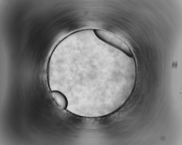 X0000103431104200810101037