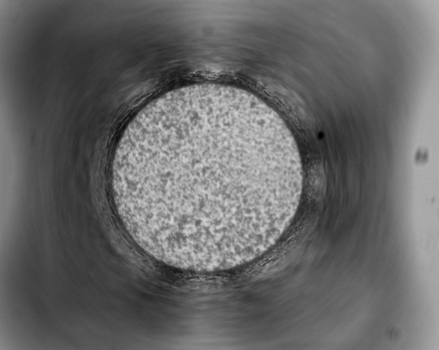 X0000103431105200810101036
