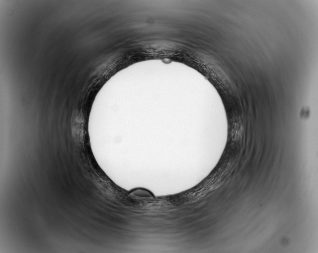 X0000103431108200810101036