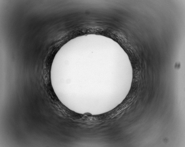 X0000103431109200810101036