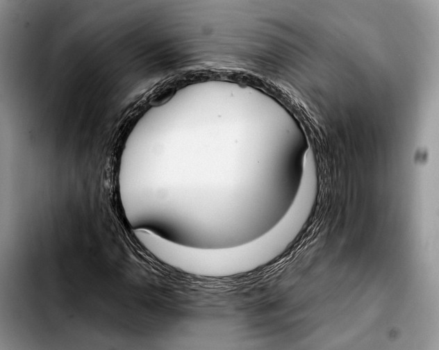 X0000103431110200810101036