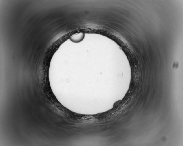 X0000103431112200810101036