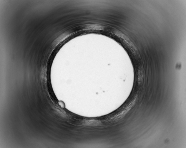 X0000103431113200810101036