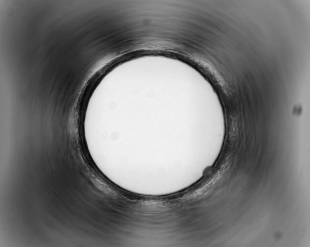 X0000103431114200810101036