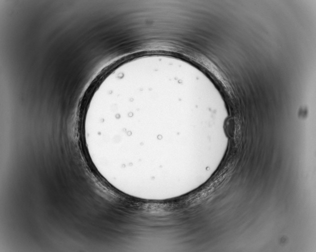 X0000103431116200810101036