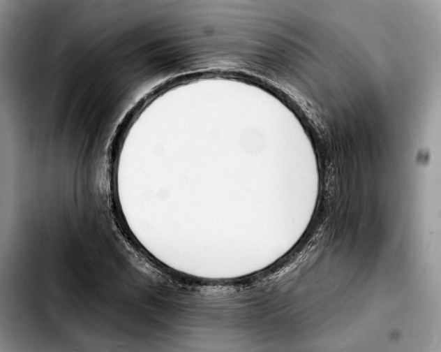 X0000103431118200810101036