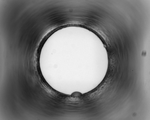 X0000103431119200810101036