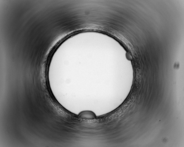X0000103431120200810101036