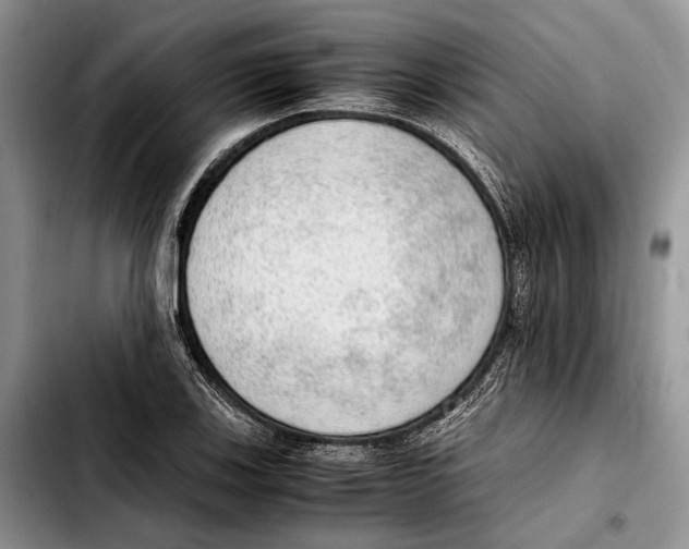 X0000103431123200810101036
