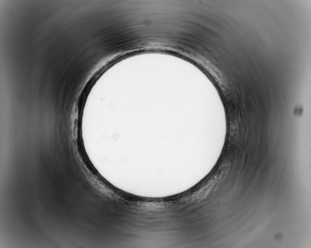 X0000103431126200810101036