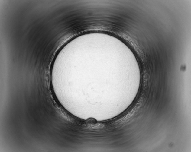 X0000103431129200810101036