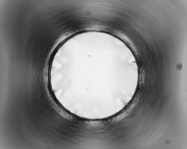 X0000103431130200810101036