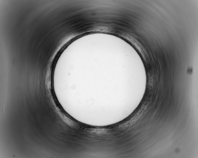 X0000103431131200810101036