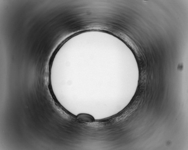 X0000103431132200810101036