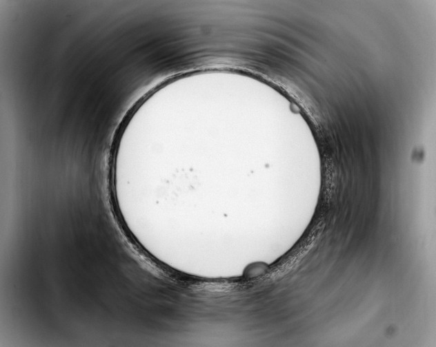 X0000103431134200810101036