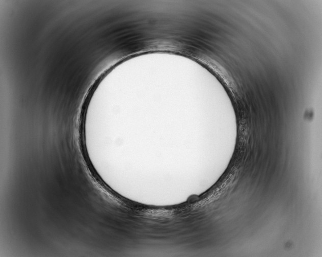 X0000103431135200810101036