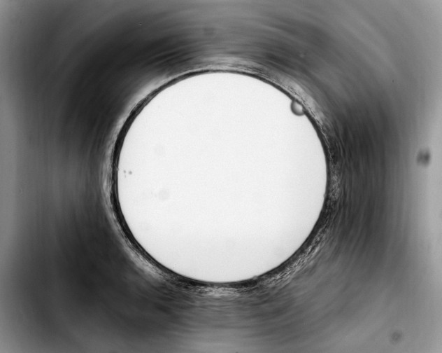 X0000103431136200810101036