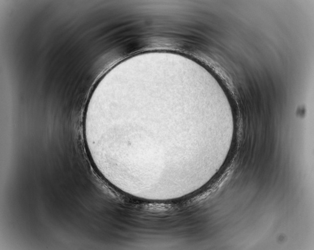 X0000103431137200810101036