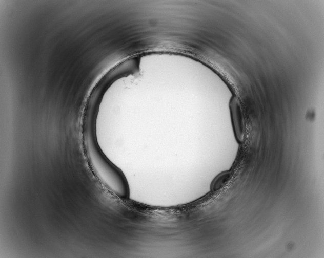 X0000103431138200810101036