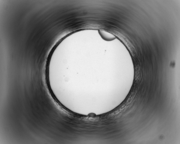X0000103431139200810101036