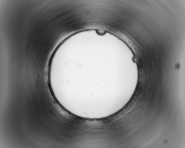 X0000103431140200810101036