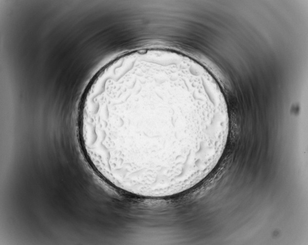 X0000103431142200810101036