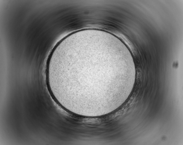 X0000103431143200810101036