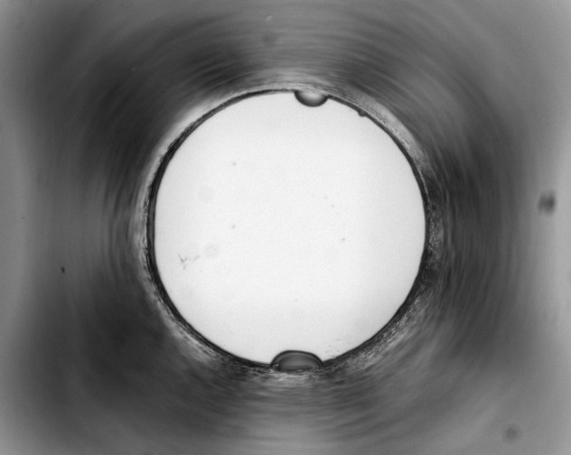 X0000103431144200810101036