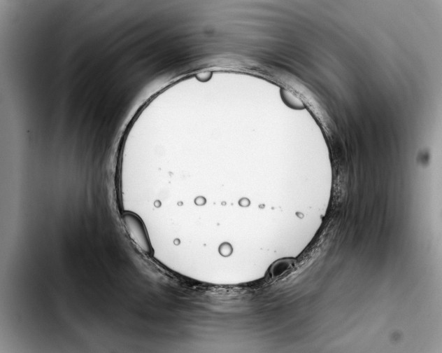 X0000103431146200810101036
