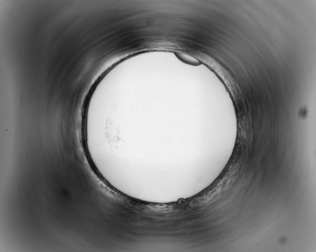 X0000103431147200810101036