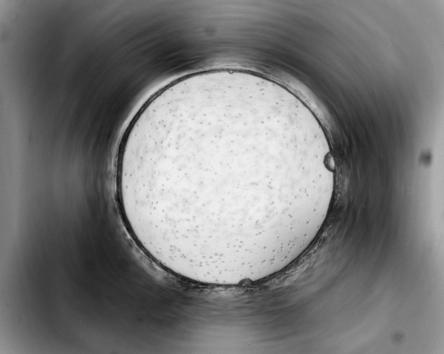 X0000103431148200810101036