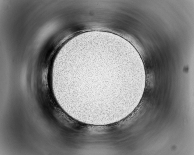 X0000103431150200810101036