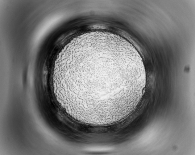X0000103431151200810101036