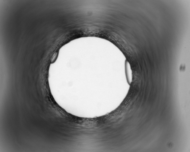 X0000103431153200810101036