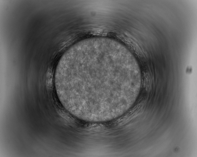 X0000103431154200810101036