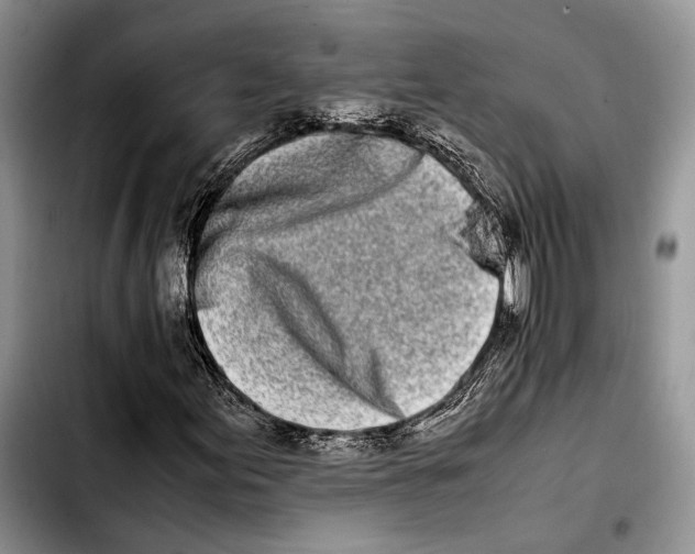 X0000103431155200810101036