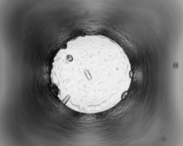 X0000103431156200810101036