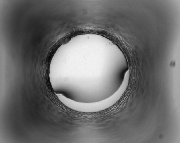 X0000103431157200810101036
