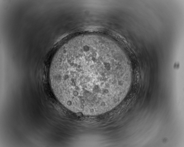 X0000103431158200810101036