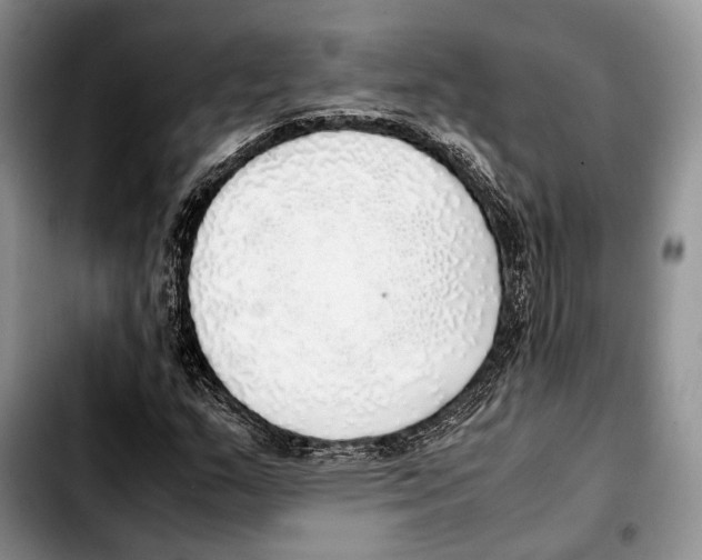 X0000103431159200810101036