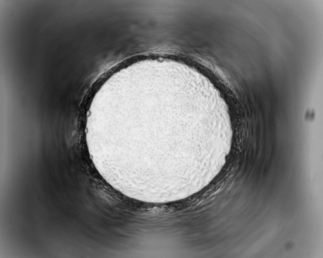 X0000103431160200810101036