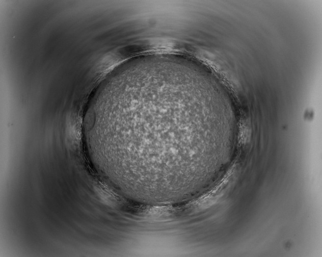X0000103431161200810101036